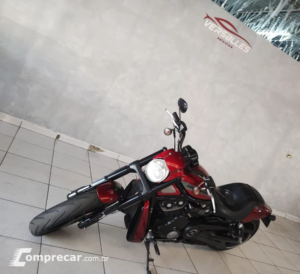Night Rod Special 1250