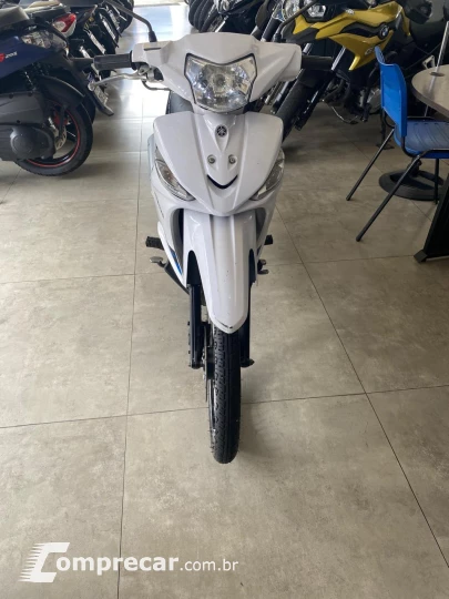 T115 CRYPTON ED
