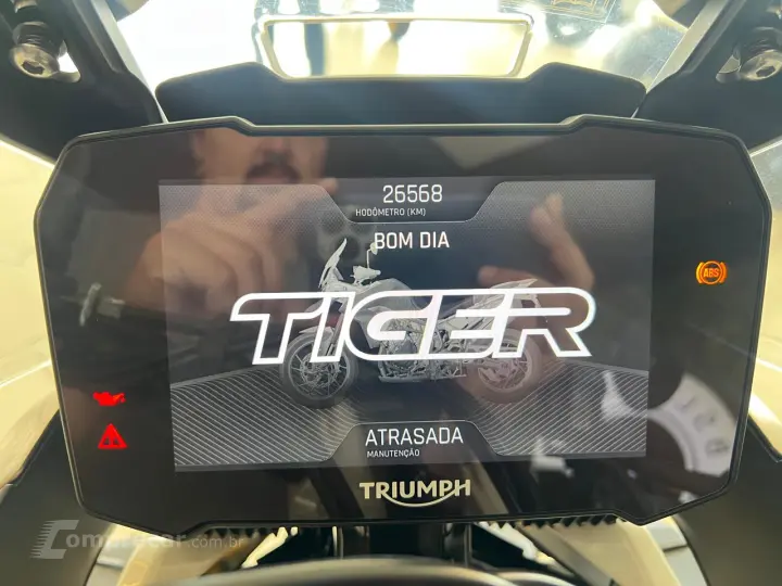 TIGER 900 RALLY PRO