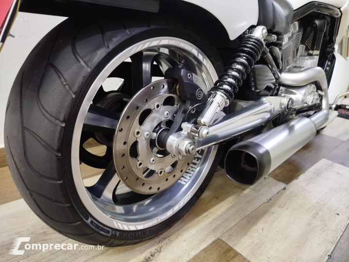 V Rod Custom 1250 cc