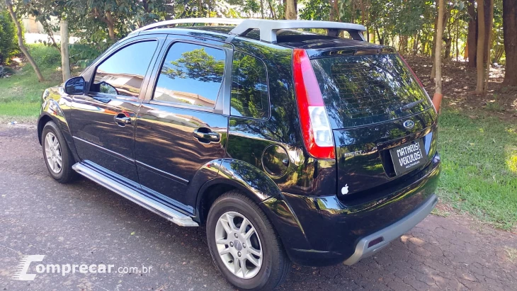 Fiesta Traill 1.0