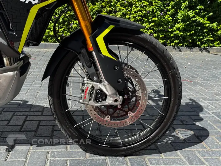 TIGER 900 RALLY PRO