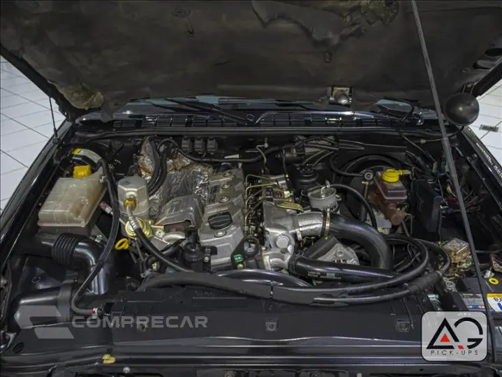 BLAZER 4.3 SFI DLX Executive 4X4 V6 12V