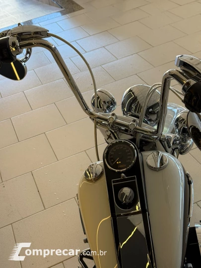 SOFTAIL DELUXE FLSTN
