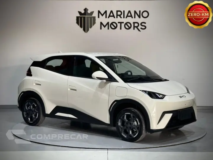DOLPHIN MINI 38 KW ELÉTRICO GS