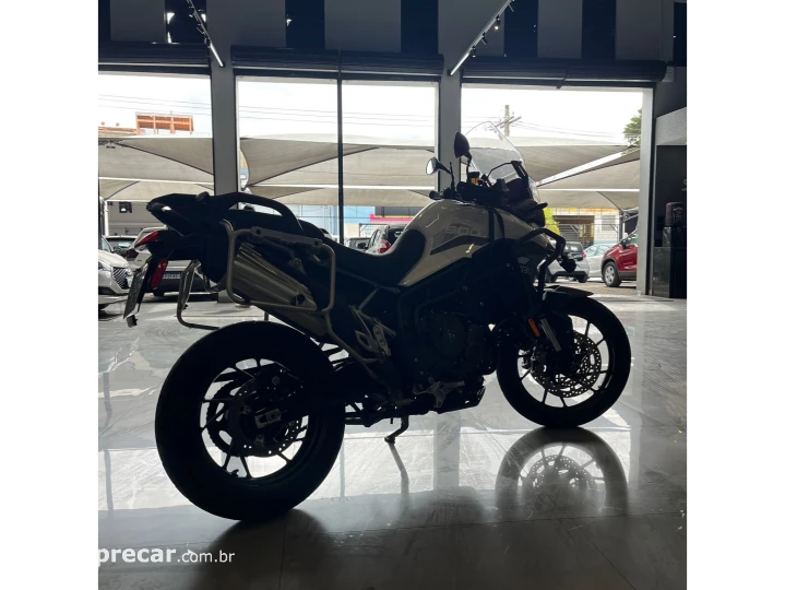 TIGER 900 GT PRO