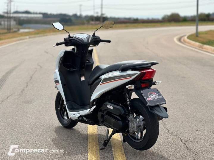FLUO 125