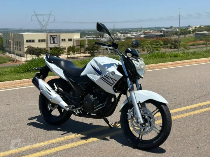 YS 250 FAZER BLUEFLEX