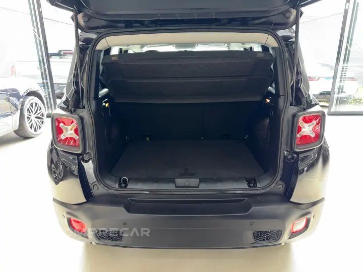 RENEGADE 1.8 16V