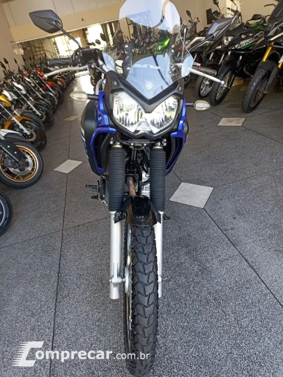 XTZ 250 TENERE/TENERE BLUEFLEX