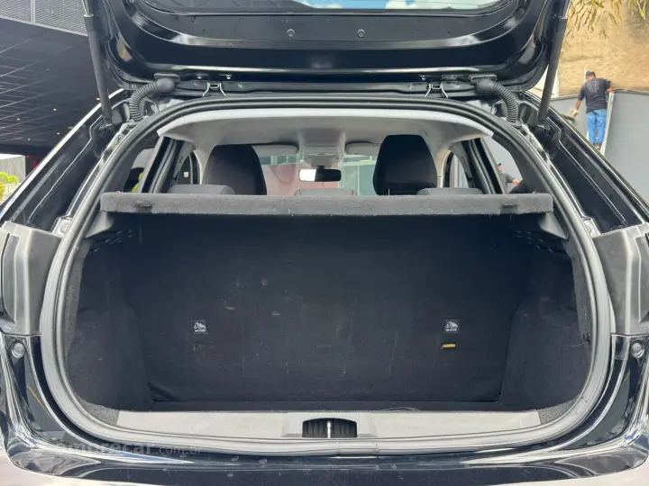 208 1.0 Firefly Like