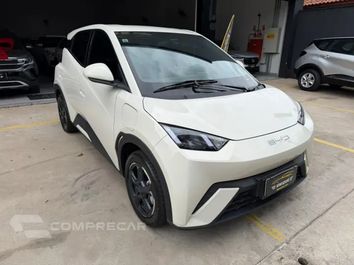 Dolphin Mini 38 Kw Elétrico