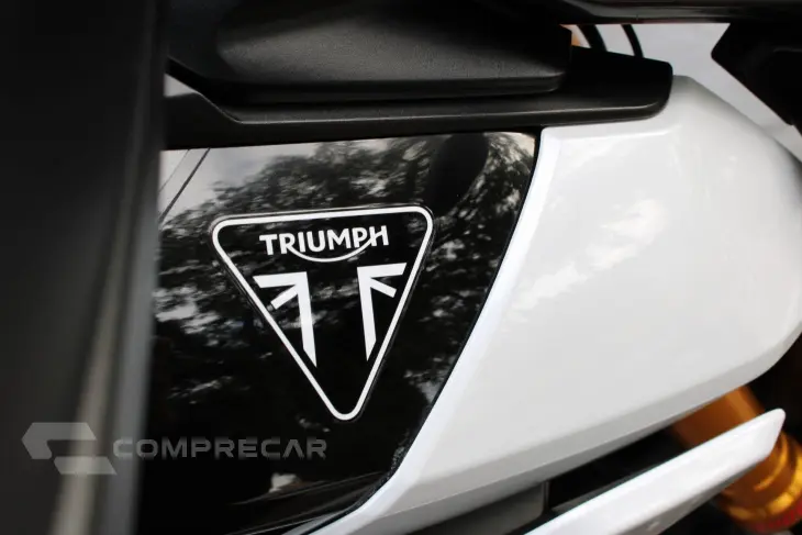 TRIUMPH TIGER 900 RALLY PRO