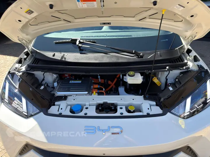 Dolphin Mini 38 Kw Elétrico Gs