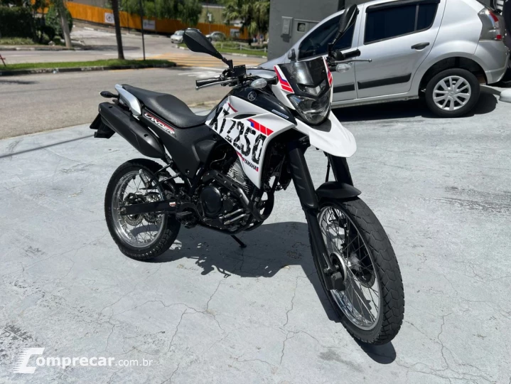 XTZ 250 LANDER 249cc/LANDER BLUEFLEX/ABS