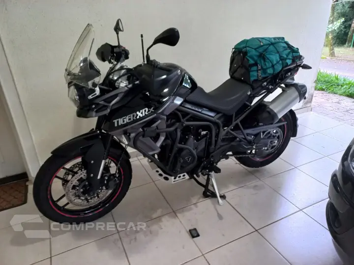 Tiger 800 Xrx