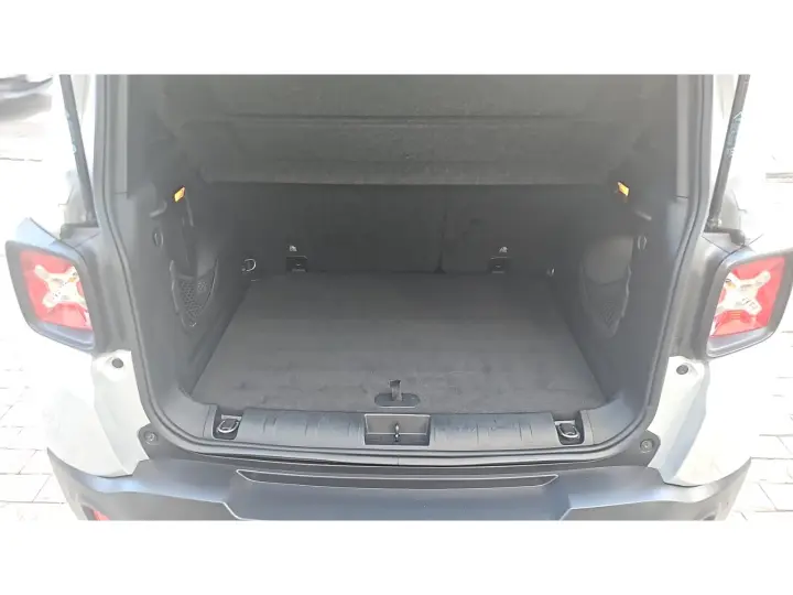 RENEGADE 1.8 16V FLEX SPORT 4P MANUAL