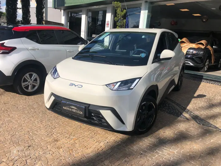 Dolphin Mini 38 Kw Elétrico