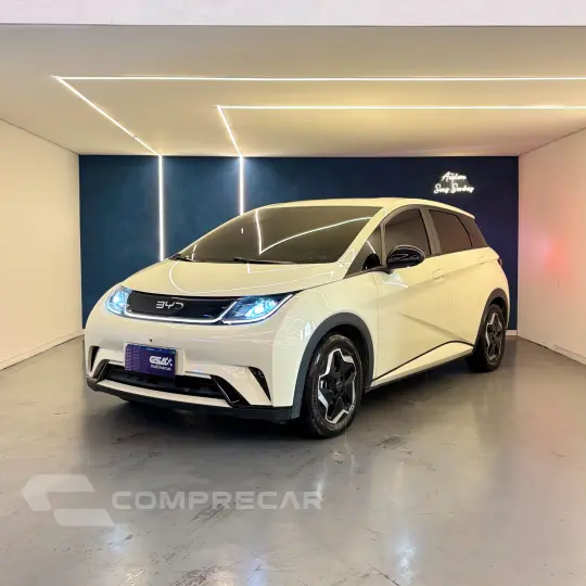 Dolphin EV (Elétrico)