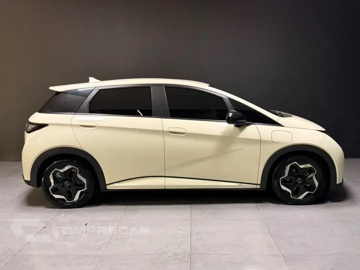 DOLPHIN 44,9 KW ELÉTRICO GS