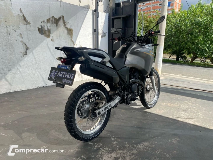 XTZ 250 TENERE/TENERE BLUEFLEX