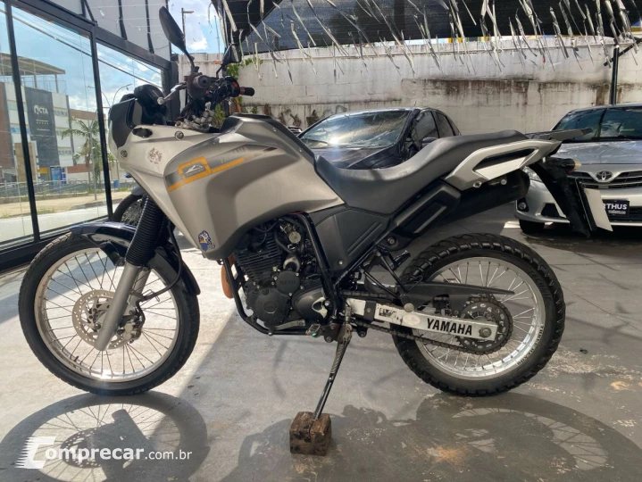 XTZ 250 TENERE/TENERE BLUEFLEX