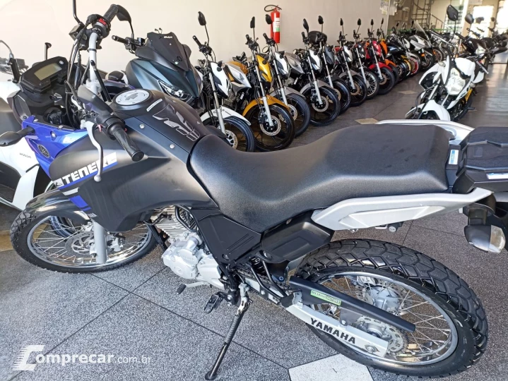 XTZ 250 TENERE/TENERE BLUEFLEX