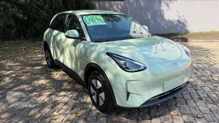 EX2 39,4 KW ELÉTRICO PRO