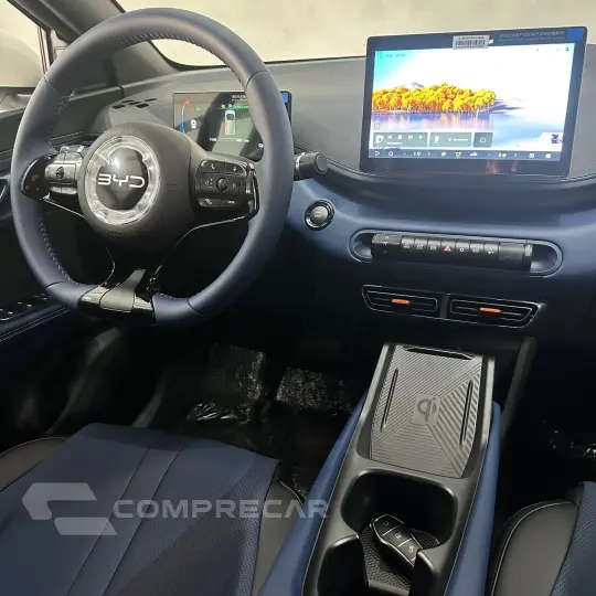 Dolphin Mini (Elétrico)