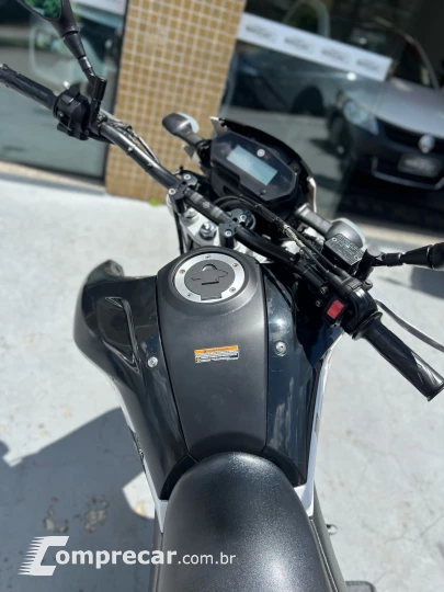 XTZ 250 LANDER 249cc/LANDER BLUEFLEX/ABS