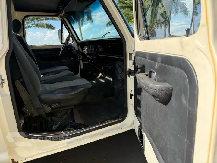 F-1000 3.9 Super Serie 4X2 CS 8V Turbo