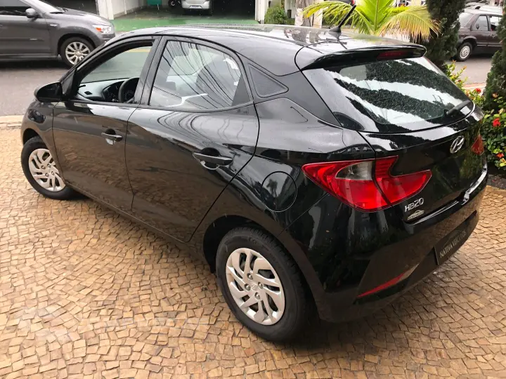 Hb20 1.0 12V Flex Sense Manual