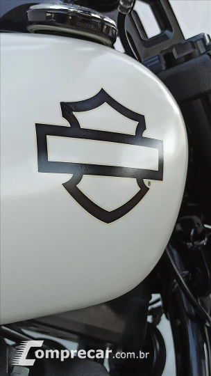 SOFTAIL FAT BOB 114