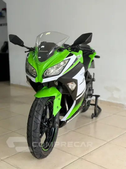 NINJA 300
