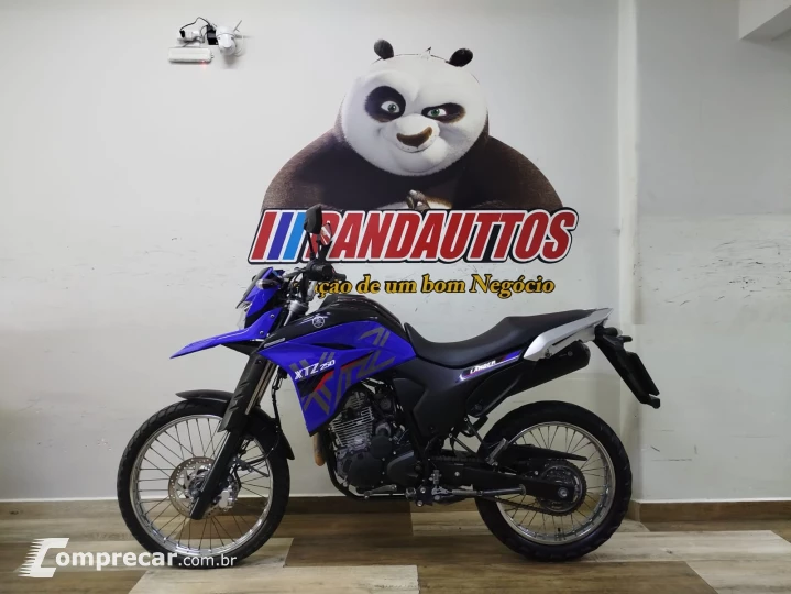 XTZ 250 LANDER