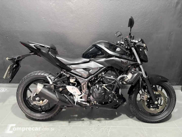 MT 03