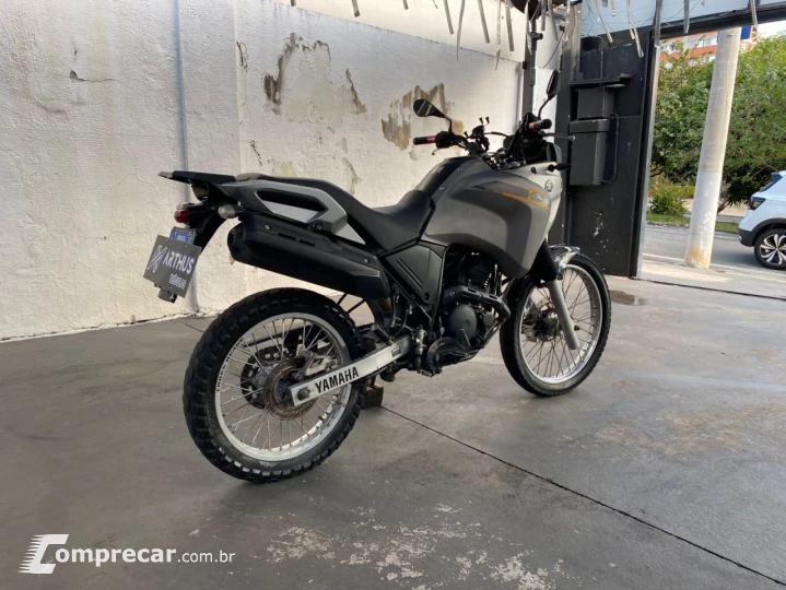 XTZ 250 TENERE/TENERE BLUEFLEX