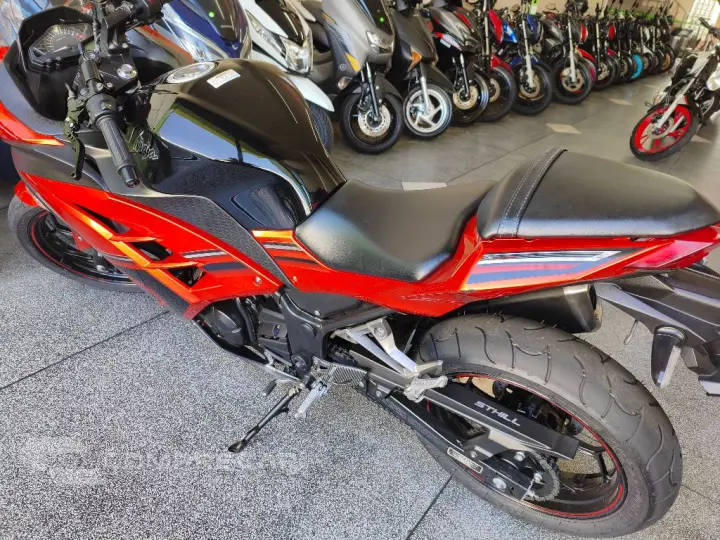 NINJA 300