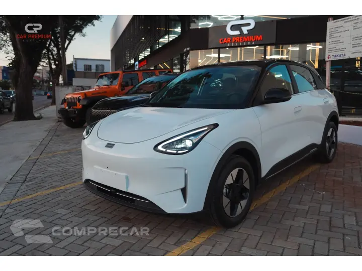 EX2 39,4 KW ELÉTRICO MAX