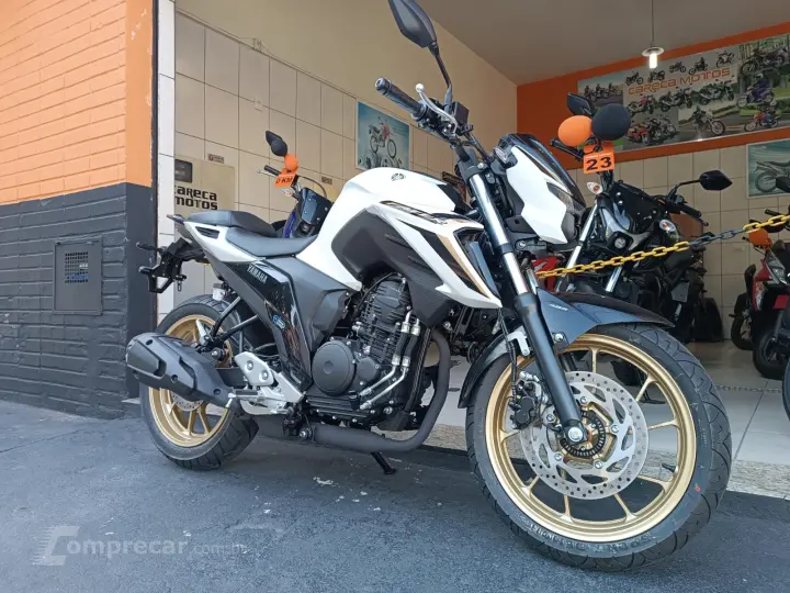 FZ25 FAZER 250
