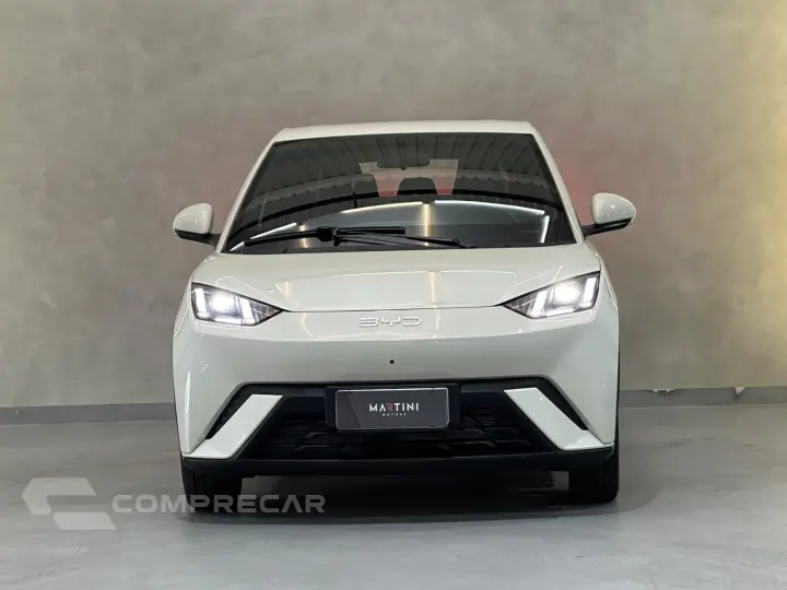 Dolphin EV GS (Elétrico)