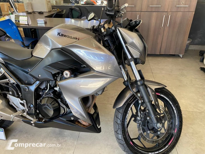 Z300