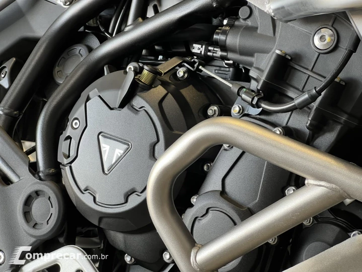 TIGER 900 RALLY PRO