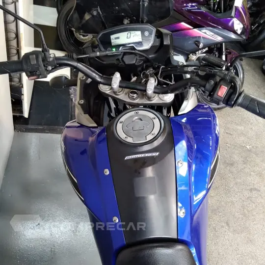 XTZ 250 TENERE BLUEFLEX