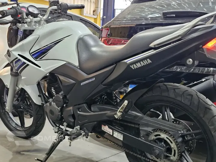 YS 250 FAZER/ FAZER L. EDITION /BLUEFLEX
