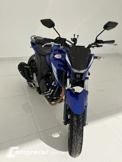 FZ250 FAZER