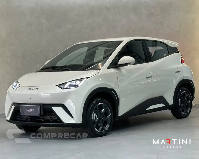 Dolphin EV GS (Elétrico)