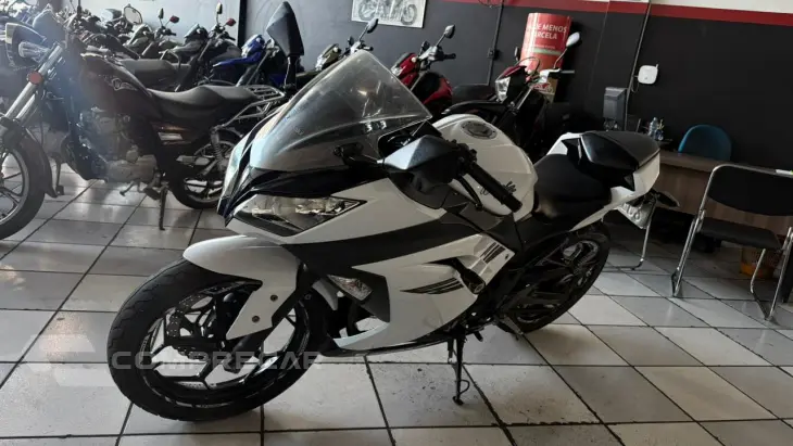 NINJA 300C