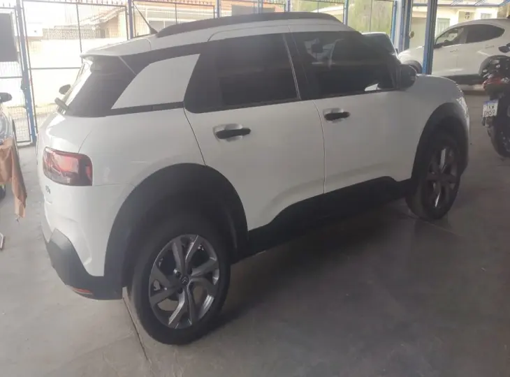 C4 Cactus