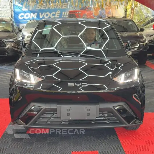 DOLPHIN MINI (ELÉTRICO)